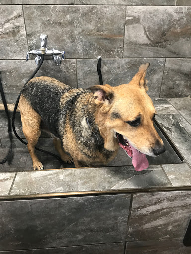 Pet Store «Pet Valu», reviews and photos, 307 Bayonne Crossing Way, Bayonne, NJ 07002, USA