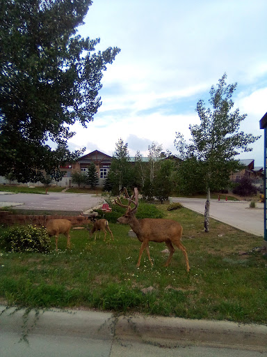 Shopping Mall «Bergen Village Shopping Center», reviews and photos, 1240 Bergen Pkwy, Evergreen, CO 80439, USA