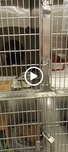 Pet Supply Store «Petco Animal Supplies», reviews and photos, 1419 Towne Square Blvd NW, Roanoke, VA 24019, USA