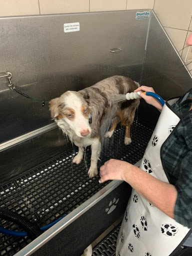 Pet Supply Store «Pet Supplies Plus», reviews and photos, 1937 FL-60, Valrico, FL 33594, USA