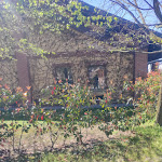 Photo n°10 de l'avis de Alessandro.c fait le 10/04/2022 à 22:07 sur le  Agriturismo Vignarello à Tornaco