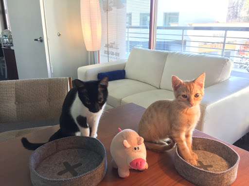 Travel Agency «Alpha World Travel Honeymoons and Destination Weddings», reviews and photos, 107 Edinburgh S Dr #114, Cary, NC 27511, USA