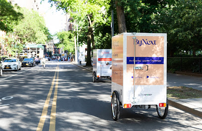 ByNext - Dry Cleaning, Laundry, Home Cleaning