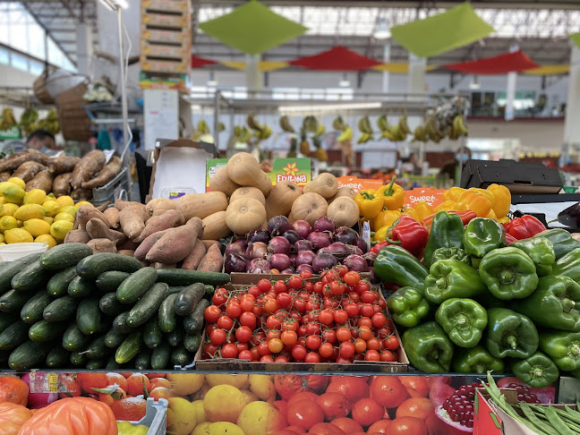 Cesta Cheia - Frutas & Legumes - Verdureiro