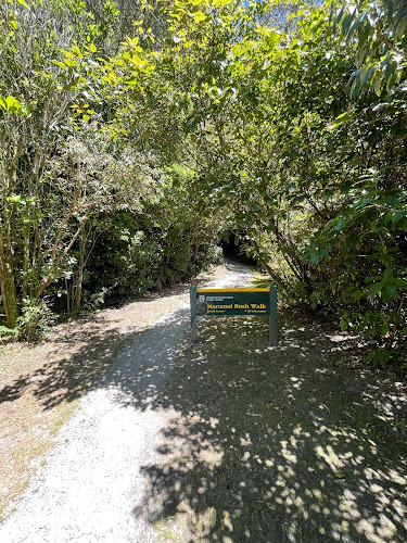 Comments and reviews of Mananui Bush and Beach Walk
