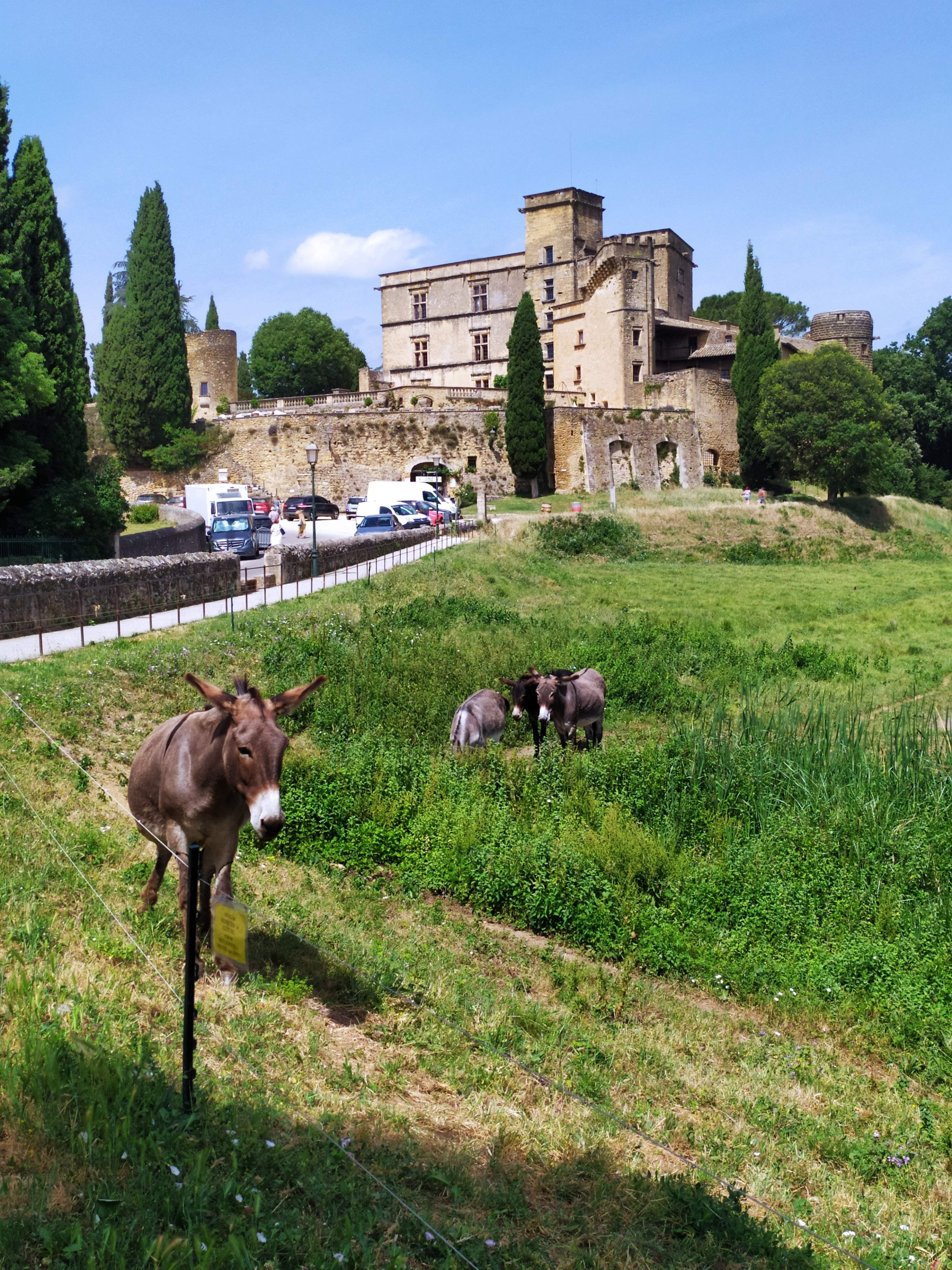 Photo n° 1 de l'avis de Patrick.a fait le 20/06/2021 à 17:10