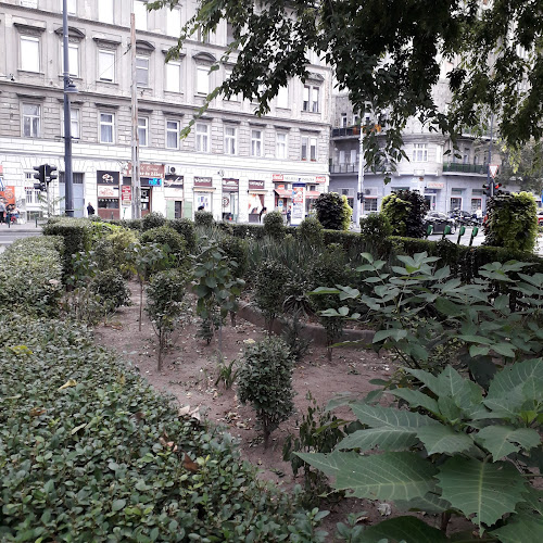 Értékelések erről a helyről: Közösségi kertek, Budapest - Kertészkedő