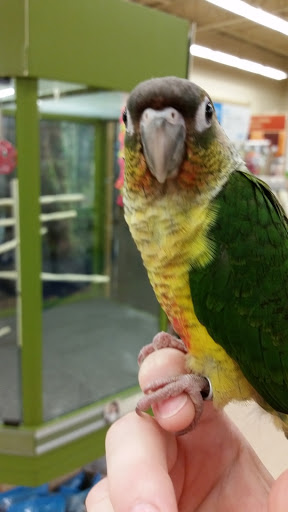 Pet Supply Store «Petco Animal Supplies», reviews and photos, 5631 Grove Blvd, Hoover, AL 35226, USA