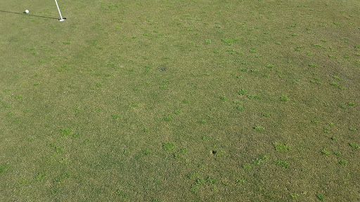 Golf Course «Bayou Golf Course», reviews and photos, 2800 Ted Dudley Dr, Texas City, TX 77591, USA