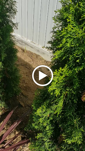 Computer Support and Services «TechsonDuty - Computer Repair, Network Services, Wiring/Cabling», reviews and photos, 1155 Slabey Ave, Valley Stream, NY 11580, USA