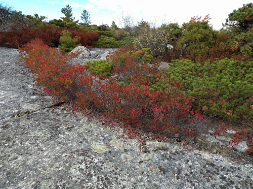 Tourist Attraction «Ice Caves», reviews and photos, Sams Point Rd, Pine Bush, NY 12566, USA