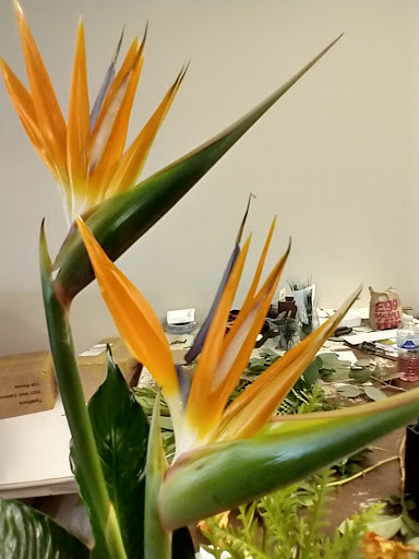 Florist «Grace Harper Florist, Inc.», reviews and photos, 4135 Woodward Ave, Detroit, MI 48201, USA