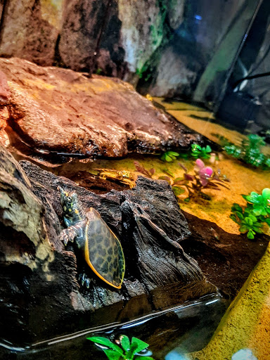 Pet Store «Suncoast Pets», reviews and photos, 7117 US-98, Panama City Beach, FL 32407, USA