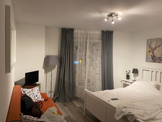 Opinii despre Hotel Bären în Freiburg - Hotel