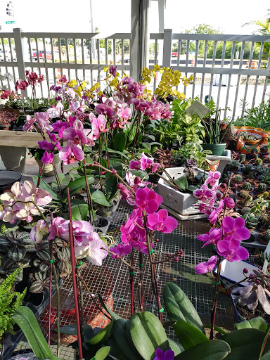 Produce Market «Nelson Family Farms», reviews and photos, 875 W Midway Rd, Fort Pierce, FL 34982, USA