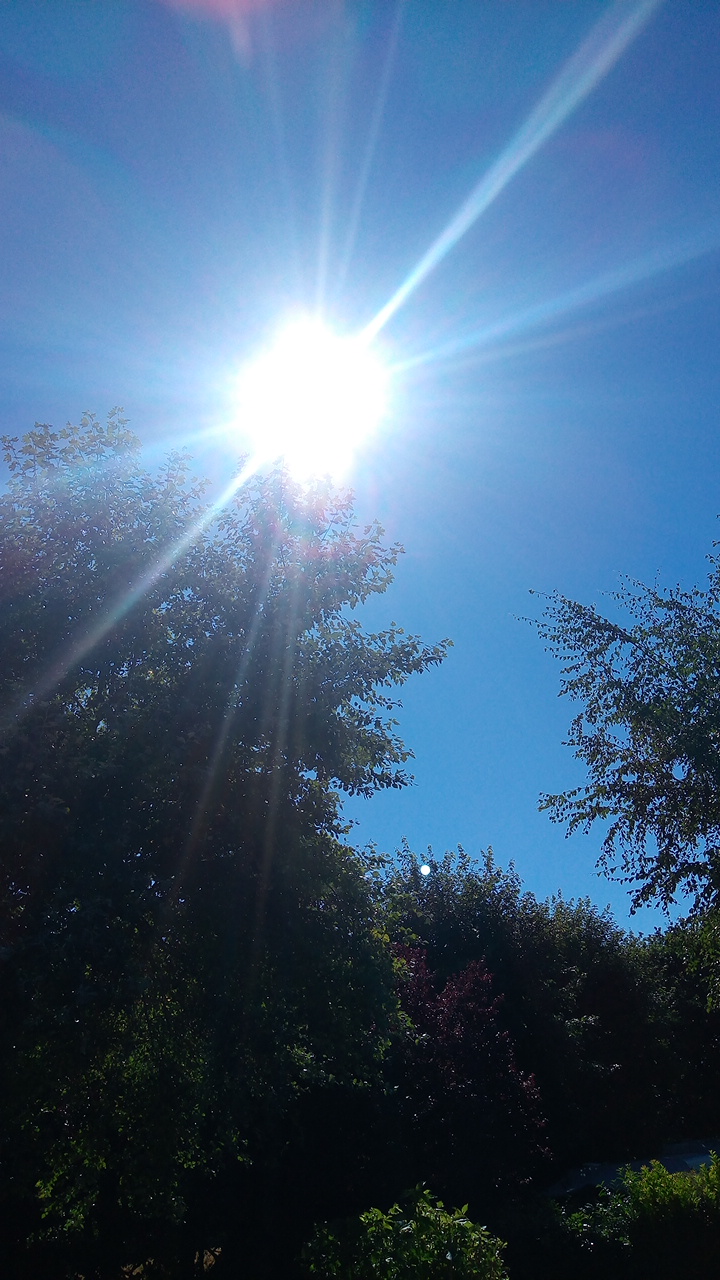 Photo n° 4 de l'avis de M.l fait le 23/07/2018 à 15:30