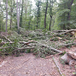 Photo n°14 de l'avis de Heike.o fait le 26/07/2023 à 19:16 sur le  Kur Cafe und Hotel Haus Kehrwieder à Quedlinburg