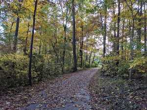 Folly Lick Park - photo 59