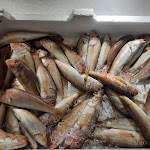 Photo n°6 de l'avis de Carol.u fait le 21/07/2020 à 10:22 sur le  Benito Al Bosco à Velletri