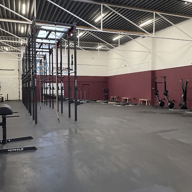 Pegasus Functional Fitness/ LOT