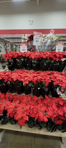 Craft Store «Michaels», reviews and photos, 13716 W Bell Rd, Surprise, AZ 85374, USA