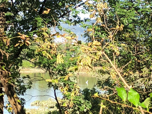 Nature Preserve «Benjamin Olewine III Nature Center», reviews and photos, 100 Wildwood Way, Harrisburg, PA 17110, USA