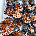 Photo n°4 de l'avis de Martina.i fait le 13/08/2022 à 20:03 sur le  Friggitoria Porto Russo à Porto Badisco