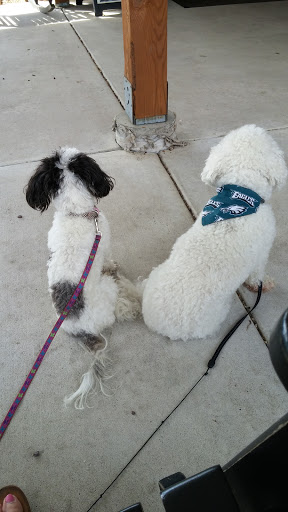 Winery «Heritage Vineyards», reviews and photos, 480 Mullica Hill Rd, Mullica Hill, NJ 08062, USA