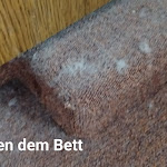 Photo n°4 de l'avis de Pe.u fait le 12/10/2023 à 11:12 sur le  Hotel Lessinghof à Braunschweig