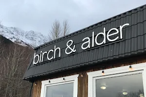 Birch & Alder image