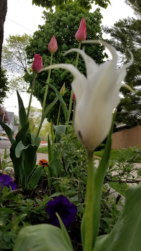 Greenfield Flower Shop