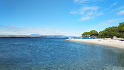Crikvenica beach'in fotoğrafı - rahatlamayı sevenler arasında popüler bir yer