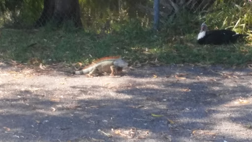 Park «Griffing Park», reviews and photos, 12220 Griffing Blvd, North Miami, FL 33161, USA