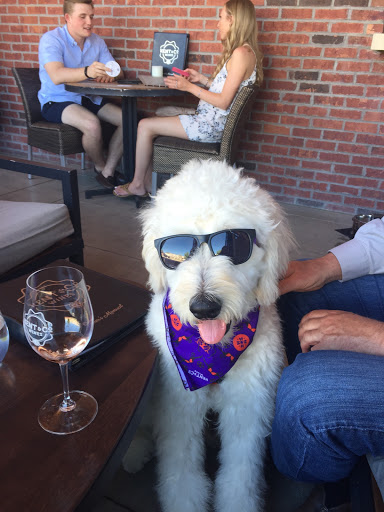 Wine Bar «Kent & Co. Wines», reviews and photos, 1101 W Magnolia Ave, Fort Worth, TX 76104, USA