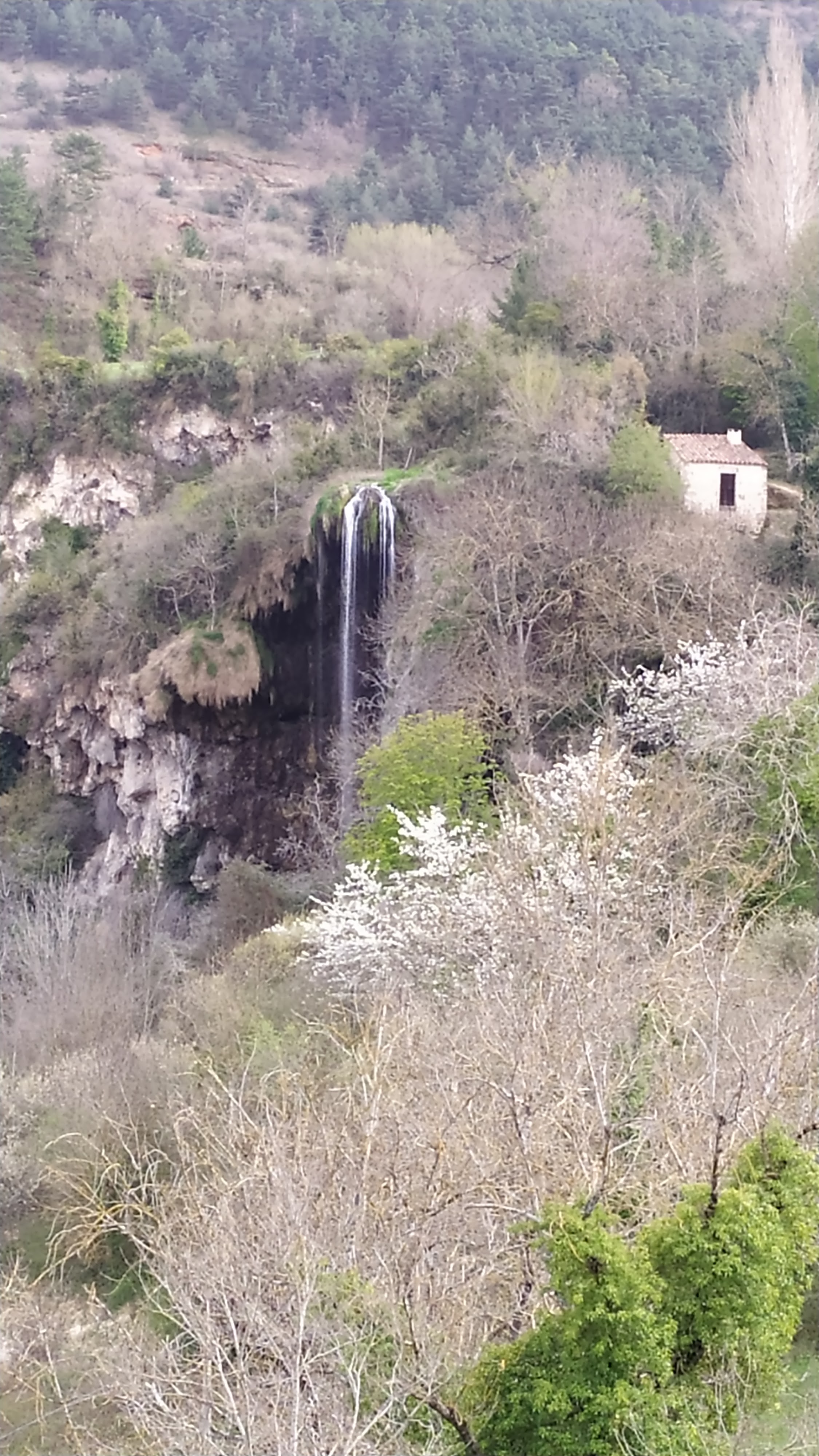 Photo n° 2 de l'avis de Mnxl. fait le 25/04/2022 à 12:41