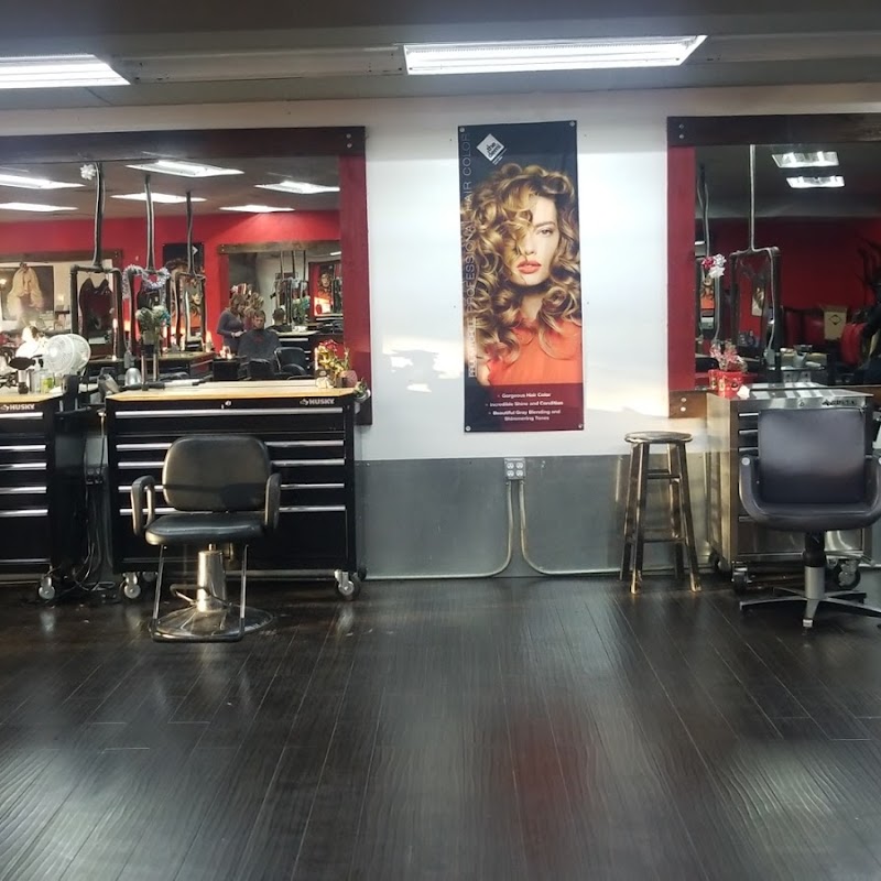 Dye Hair Salon