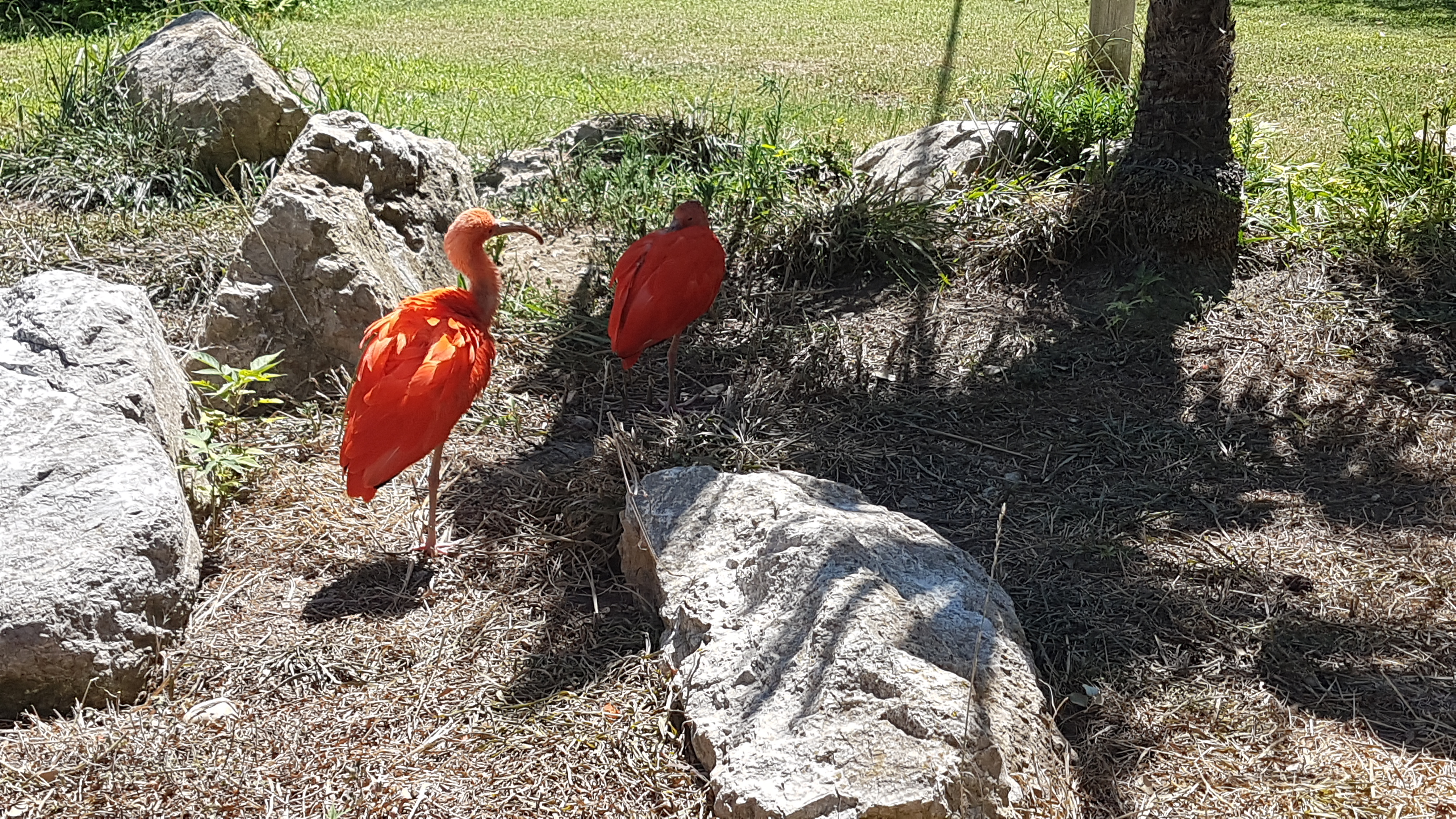 Photo n° 29 de l'avis de Dominique.A fait le 05/08/2017 à 15:53