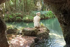 Bagno di Venere image