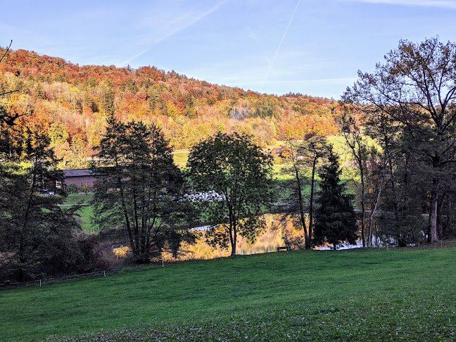 Friedhofstrasse 21, 8104 Weiningen, Schweiz