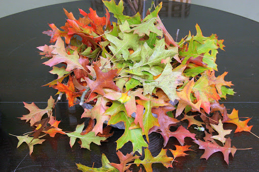 Florist «LARCHMONT VILLAGE FLORIST», reviews and photos, 420 N Larchmont Blvd, Los Angeles, CA 90004, USA