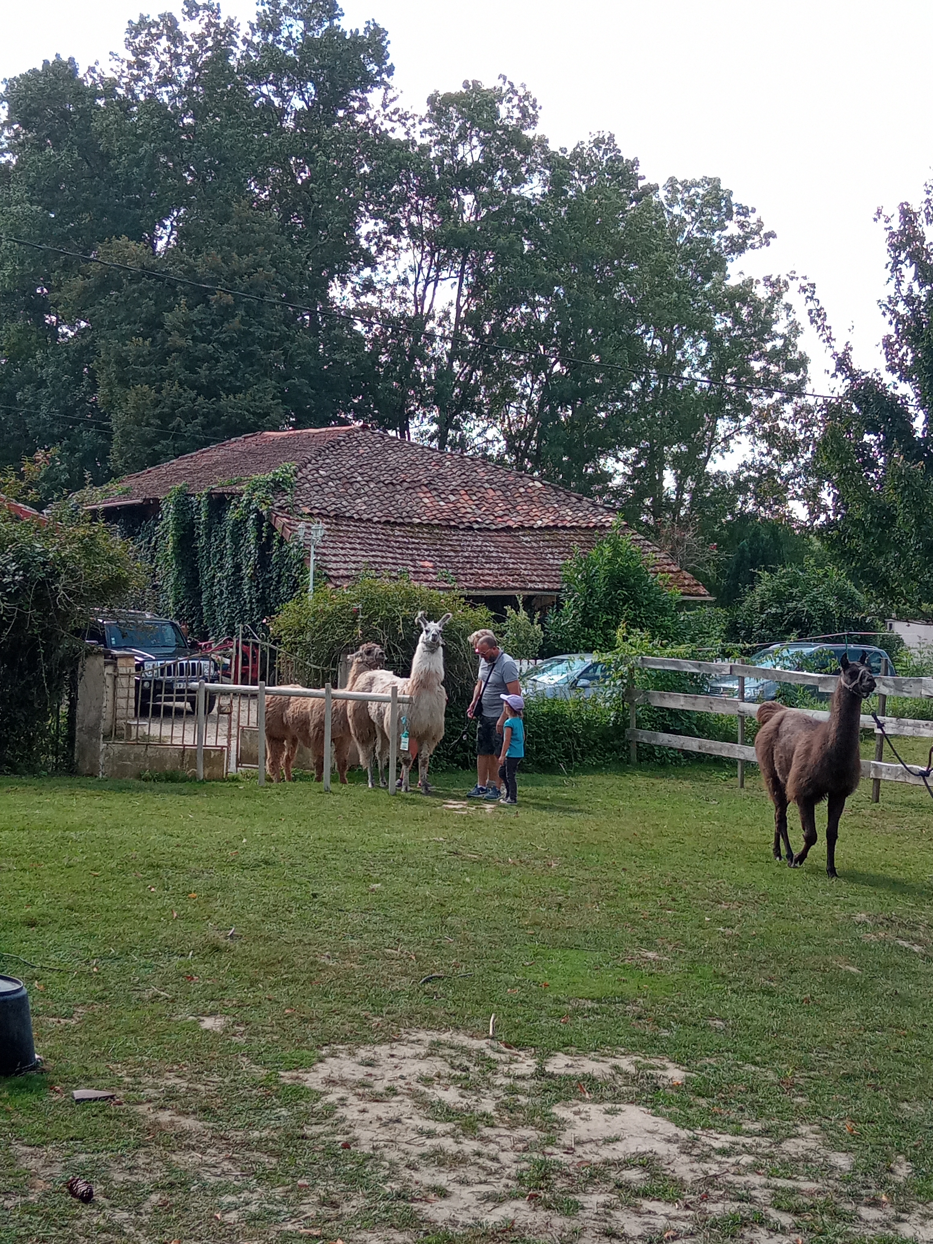 Photo n° 7 de l'avis de bribri.r fait le 31/08/2021 à 14:54
