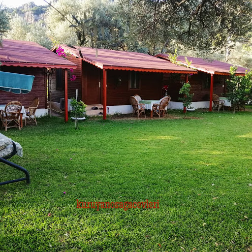 Kuruyanos Ağaç Evleri