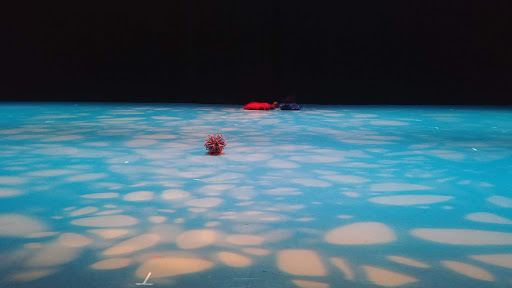 Dance Company «Kansas City Ballet - Todd Bolender Center for Dance & Creativity», reviews and photos, 500 W Pershing Rd, Kansas City, MO 64108, USA