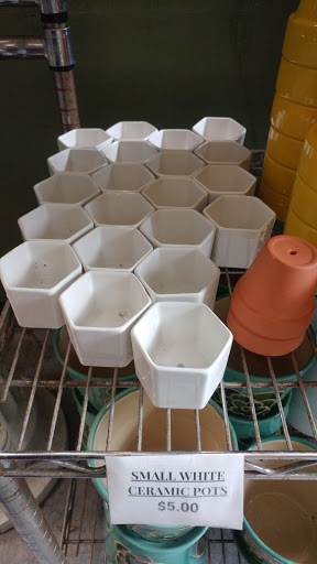 Florist «Central Square Florist», reviews and photos, 653 Massachusetts Ave, Cambridge, MA 02139, USA