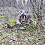 Photo n° 1 de l'avis de Laura.e fait le 14/03/2023 à 07:12 pour PARC DINO-ZOO à Étalans