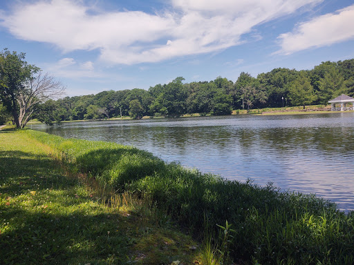 Radio Springs Park