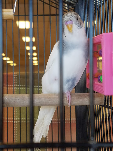 Pet Supply Store «Pet Partners», reviews and photos, 1962 W State St, Bristol, TN 37620, USA