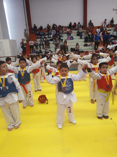 CFTP CANADIAN FAMILY TAEKWONDO PROGRAMS IZCALLI LAS TORRES