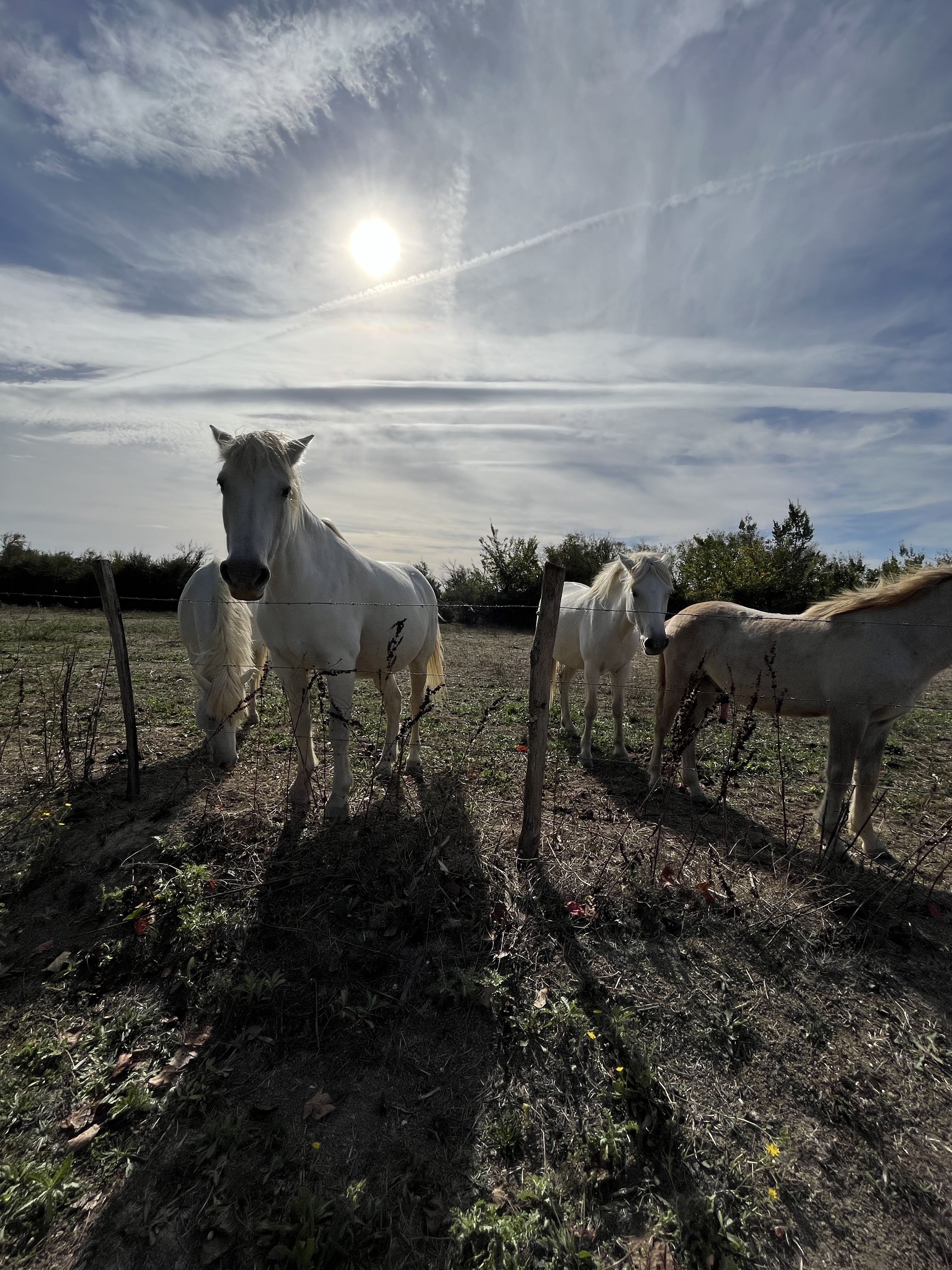 Photo n° 1 de l'avis de Diguidi.l fait le 15/10/2023 à 20:37