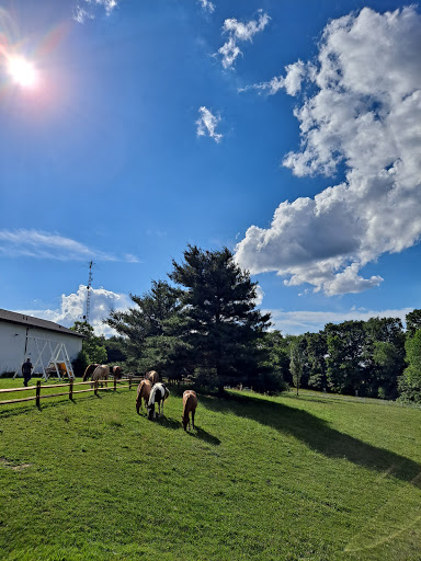 Winery «Guggisberg Doughty Glen Winery», reviews and photos, 5025 OH-557, Millersburg, OH 44654, USA